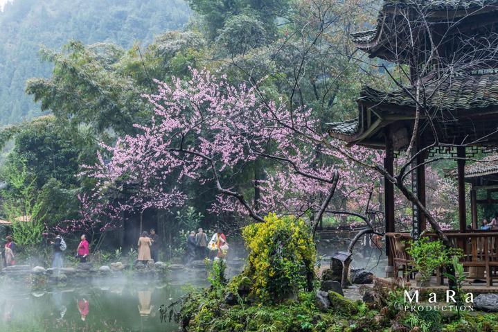奥莉的夏威夷之旅